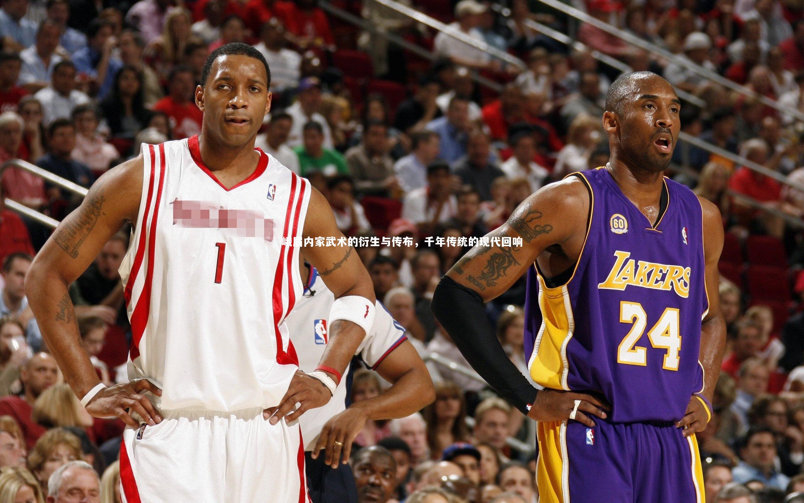 峨眉内家武术的衍生与传布，千年传统的现代回响